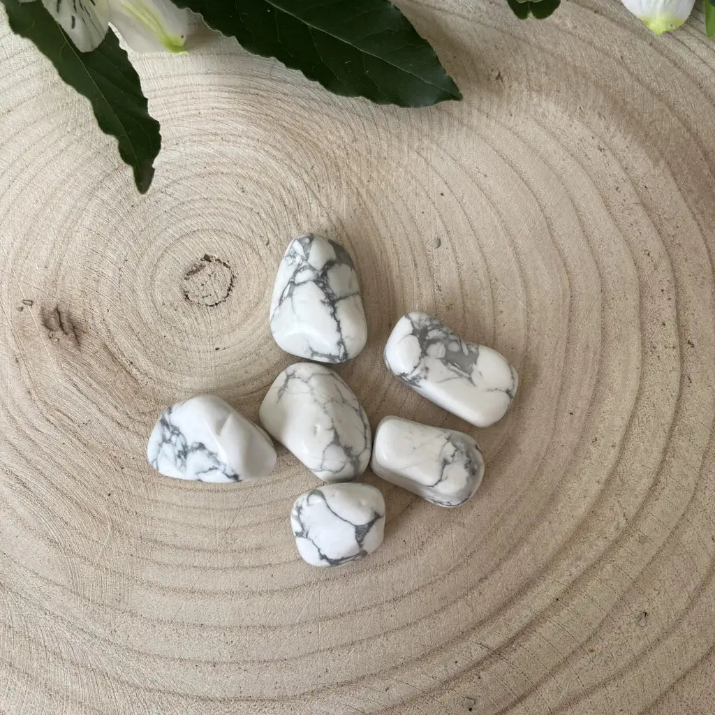 pierre naturelle howlite présenter sur plateau bois