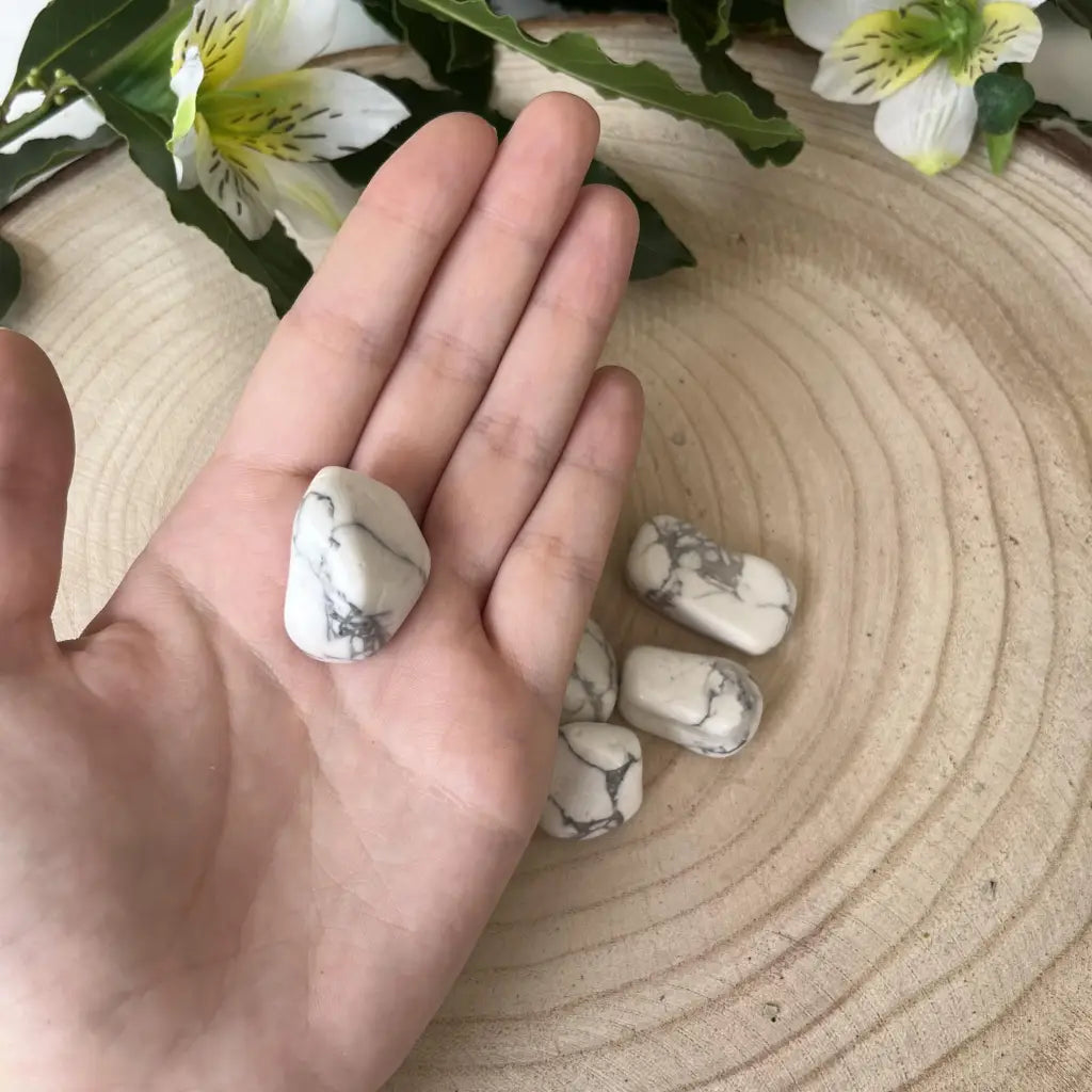 présentation de la pierre howlite dans la main