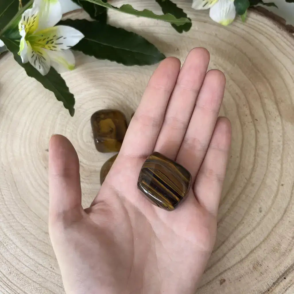Pierre Oeil de Tigre Roulée naturelle tenue dans une main sur fond bois avec fleurs blanches Aura de Roche