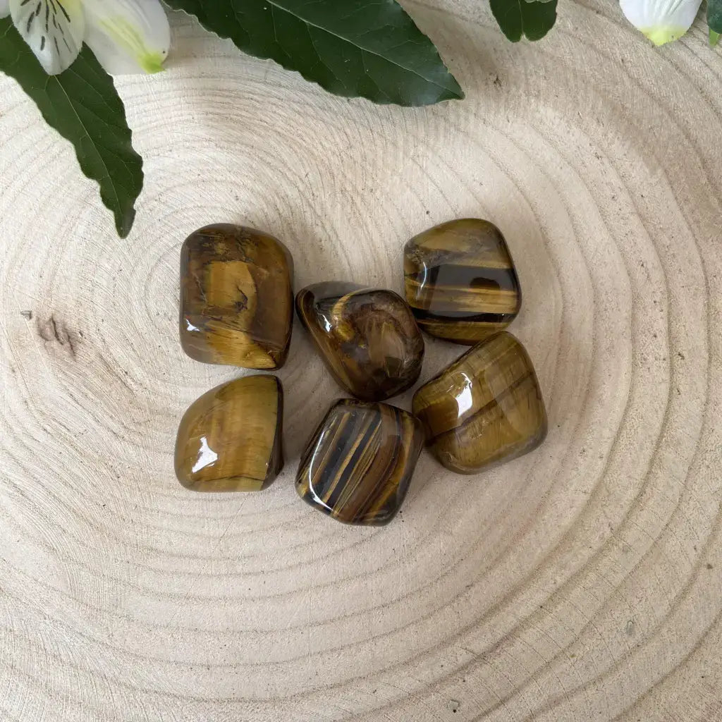 Pierre Oeil de Tigre Roulée polie posée sur une tranche de bois clair avec des feuilles vertes