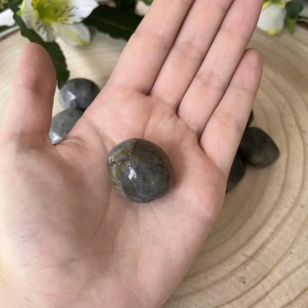 pierre labradorite categorie A dans la main