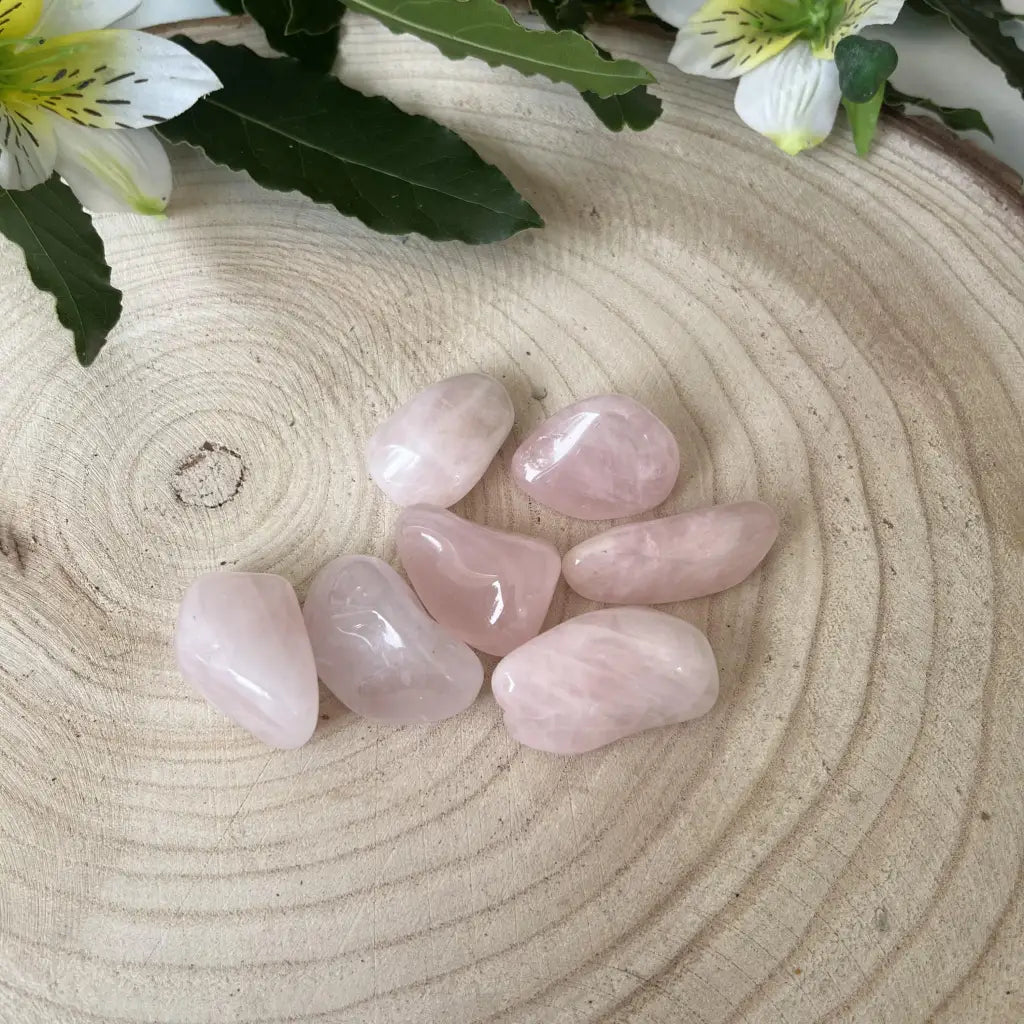pierre roulée quatz rose posée sur rondin de bois