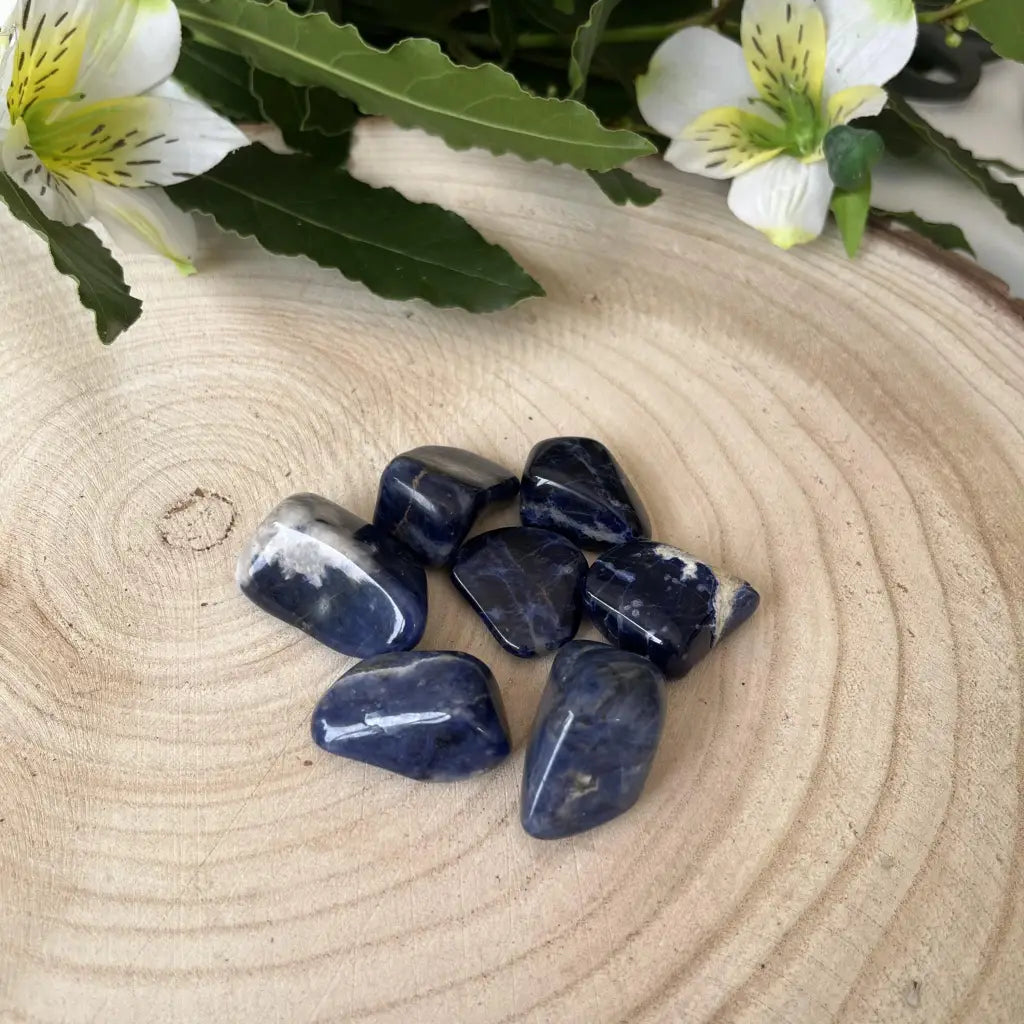 plusieurs pierres sodalite sur un rondin de bois