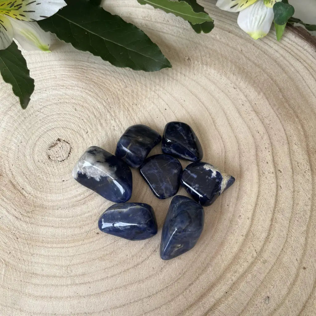 pierre roulée sodalite posée sur un rondin en bois