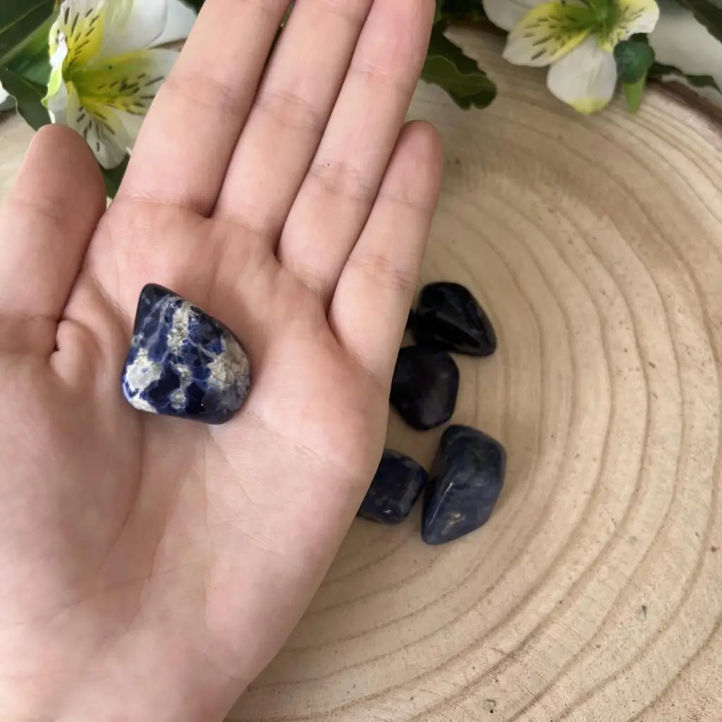 présentation pierre sodalite dans une main