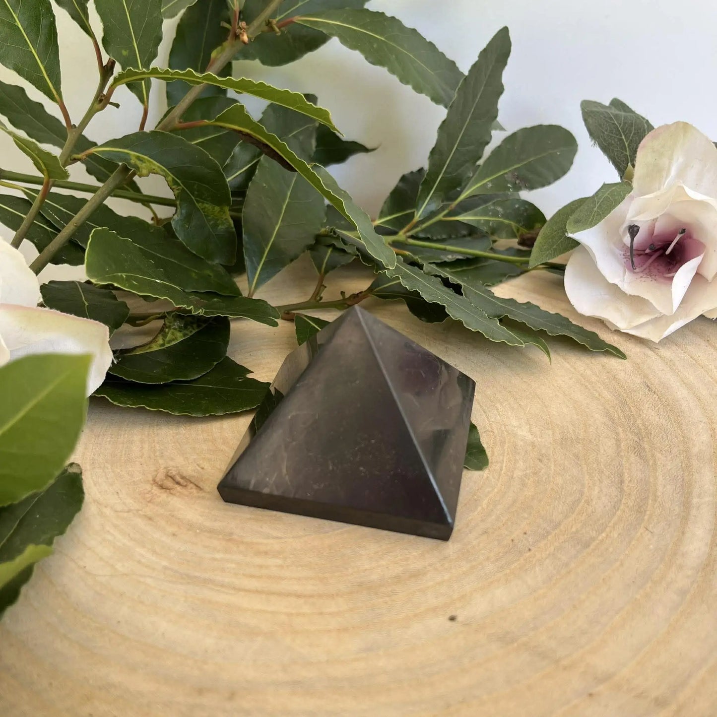 Une pyramide noire en obsidienne polie repose sur une coquille st jacques en bois pour la protection shungite contre les ondes nocives