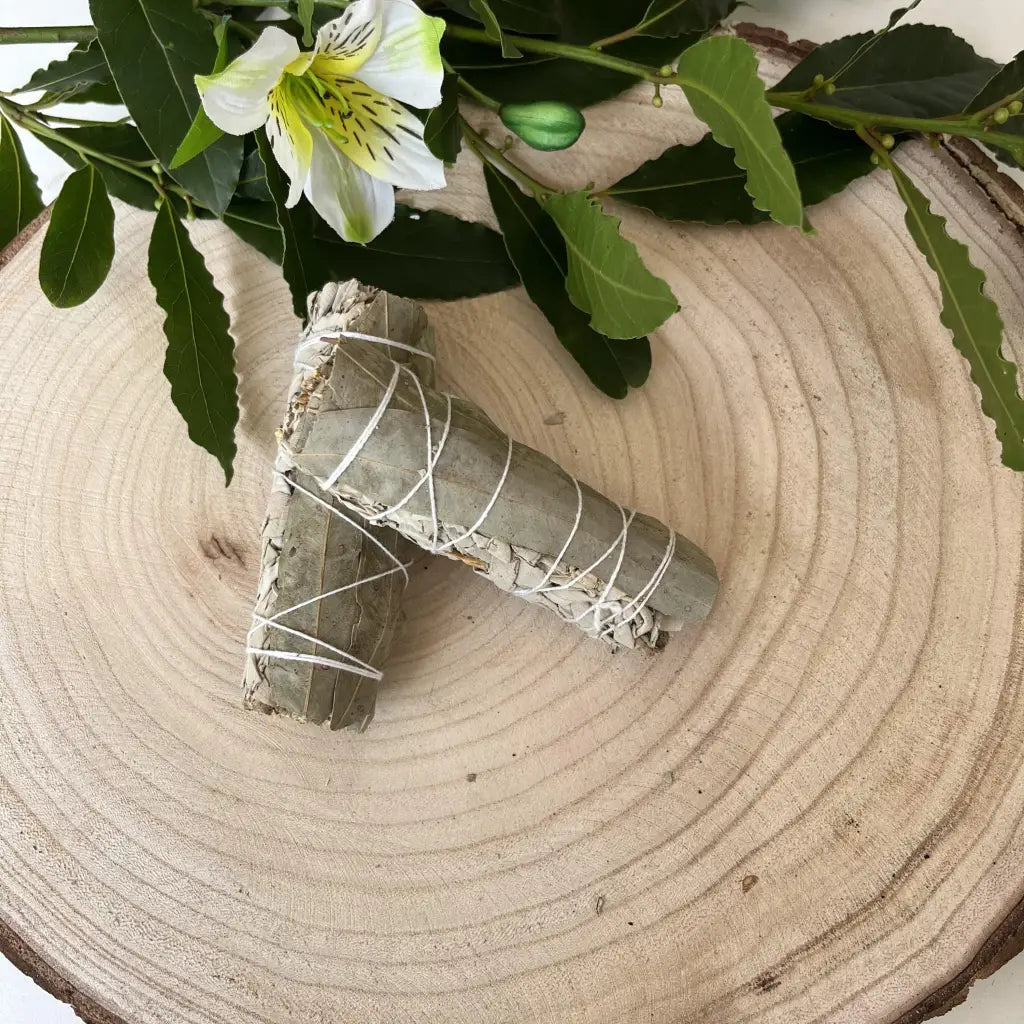 Sauge blanche à l’Eucalyptus pour purification doublée -