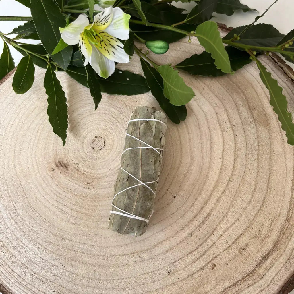 Sauge blanche à l’Eucalyptus pour purification doublée -