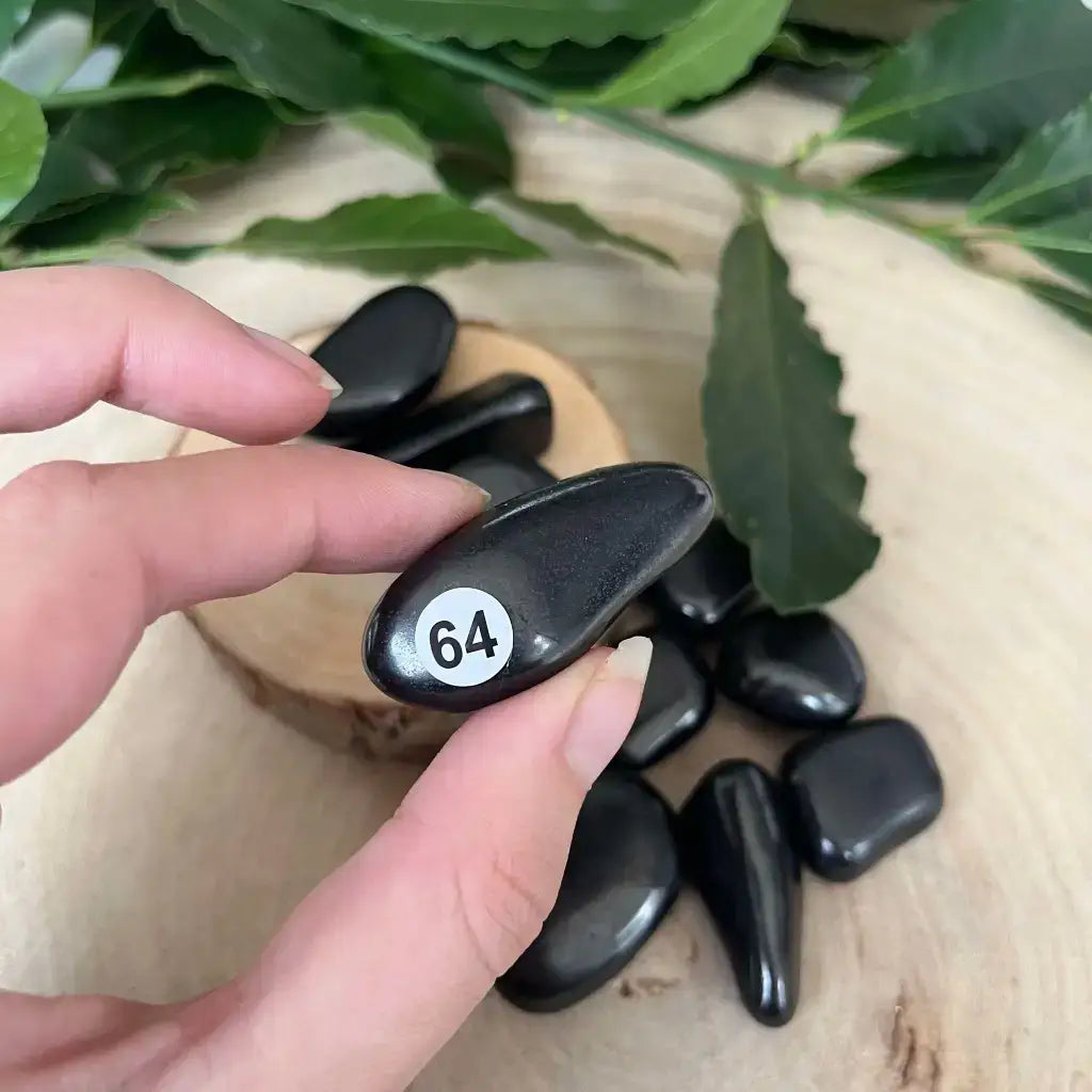 Shungite Pierre Roulée Naturelle en main avec numérotation, pleine de propriétés bénéfiques