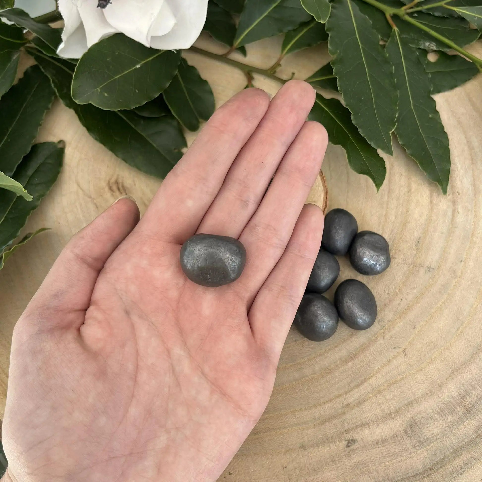 Une shungite pierre roulée naturelle lisse et gris foncé pour purification et protection dans la paume d’une main